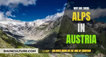 The Austrian Alps: How Did They Form?
