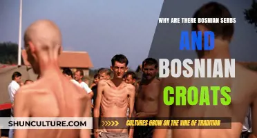 Bosnian Serbs and Croats: Understanding Bosnia's Ethnic Diversity