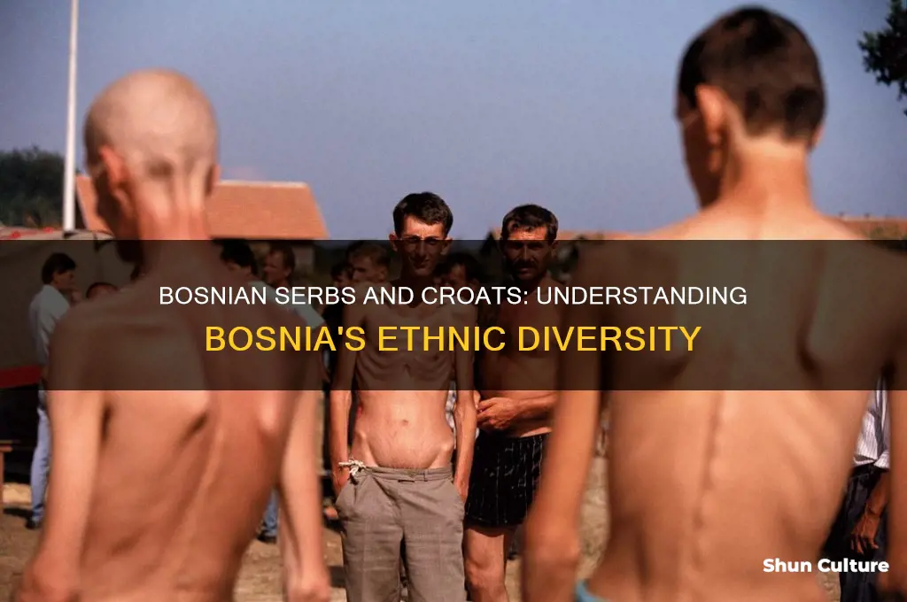 why are there bosnian serbs and bosnian croats