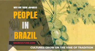 Japanese Immigration to Brazil: A Historical and Cultural Journey