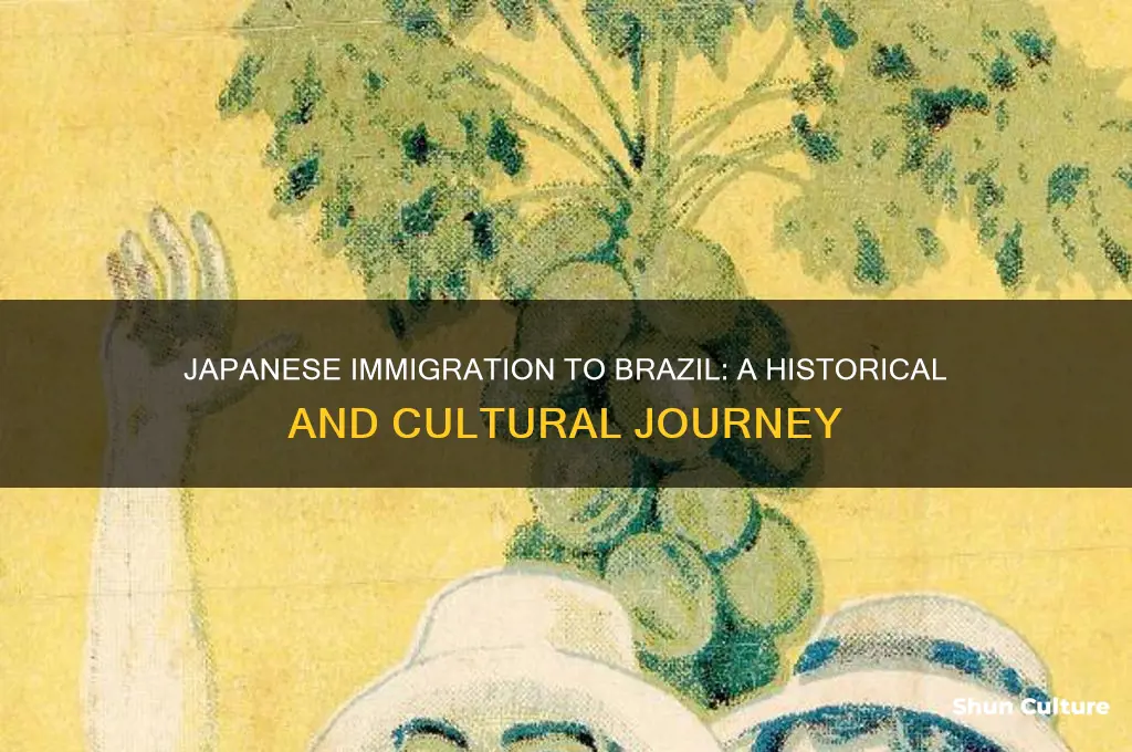 why are there japanese people in brazil
