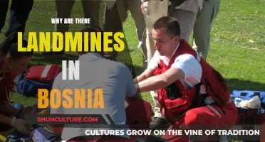 Bosnia's Hidden Danger: The Lingering Legacy of Landmines Explained