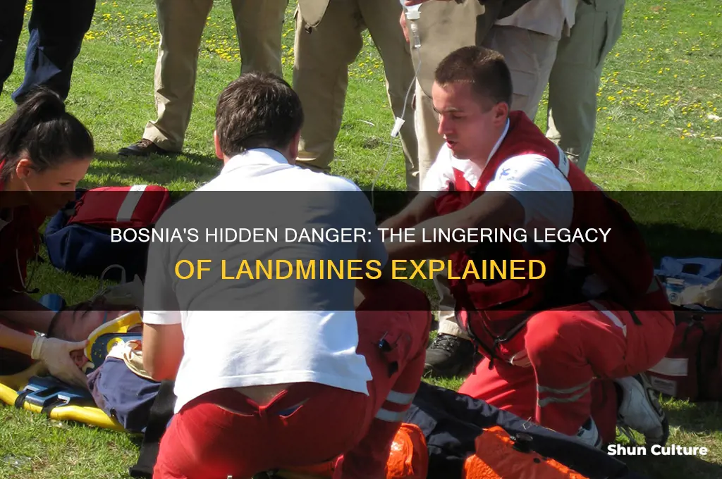 why are there landmines in bosnia