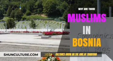 Bosnia's Muslim Heritage: A Historical and Cultural Journey Explained