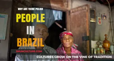 Polish Immigration to Brazil: A Historical and Cultural Journey