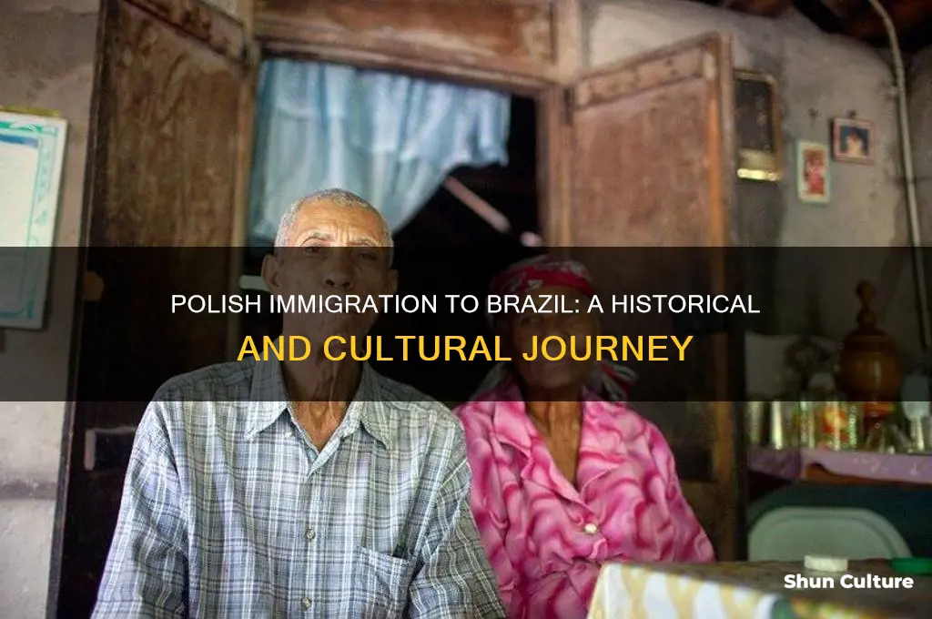why are there polish people in brazil