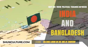 India-Bangladesh Tensions: Historical Roots and Modern Political Challenges