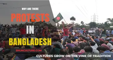 Bangladesh Protests: Unraveling the Causes Behind the Nationwide Demonstrations
