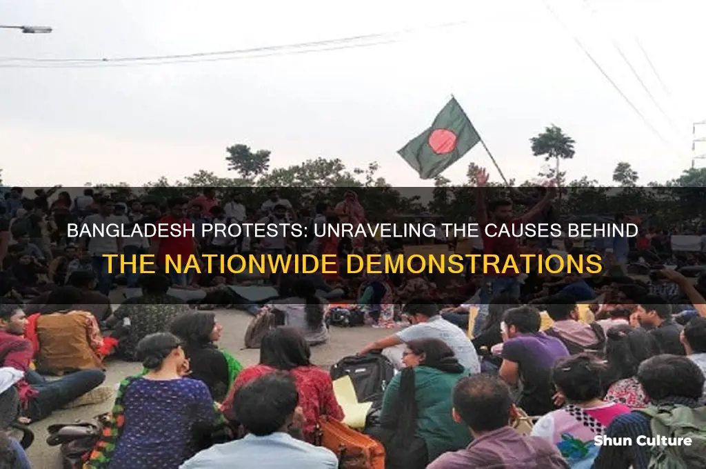 why are there protests in bangladesh