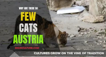 Feline Mystery: Austria's Low Cat Population Explored