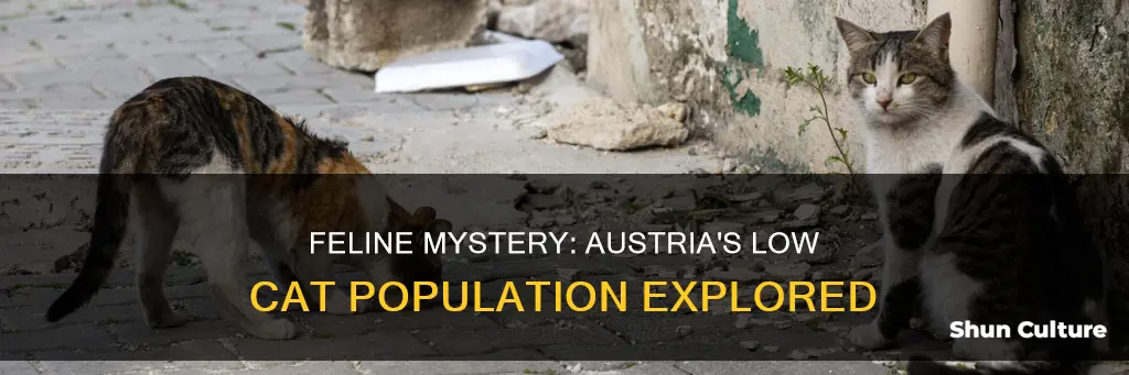 why are there so few cats austria