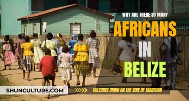 Africans in Belize: Why So Many?