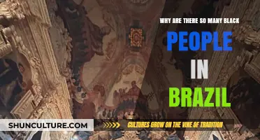 Brazil's African Heritage: Exploring the Roots of Its Black Population