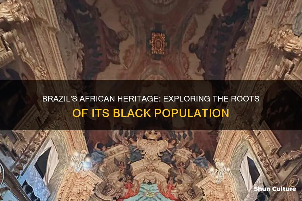 why are there so many black people in brazil