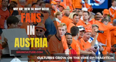 Dutch Expat Community: Why Austria Loves Dutch Football