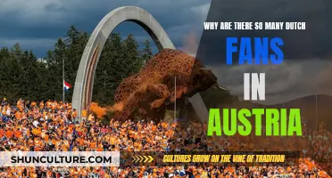 Dutch Fans in Austria: A Cultural Connection