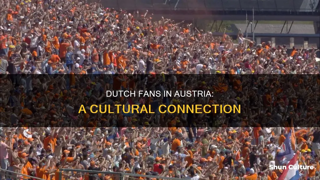 why are there so many dutch fans in austria
