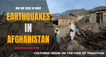 The Shifting Landscape: Afghanistan's Vulnerability to Earthquakes