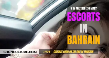 Exploring Bahrain's Thriving Escort Industry: Why So Many?