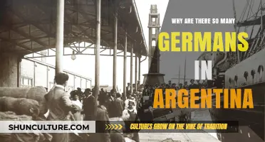 Exploring the Historical Ties: Germans in Argentina