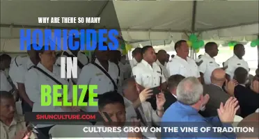 Belize's Homicide Epidemic Explained