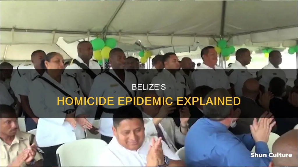 why are there so many homicides in belize