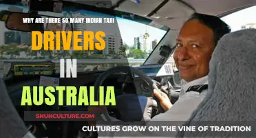 Exploring the Indian Taxi Driver Phenomenon in Australia