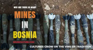 Bosnia's Mining Legacy: Uncovering the Reasons Behind Its Abundant Mines
