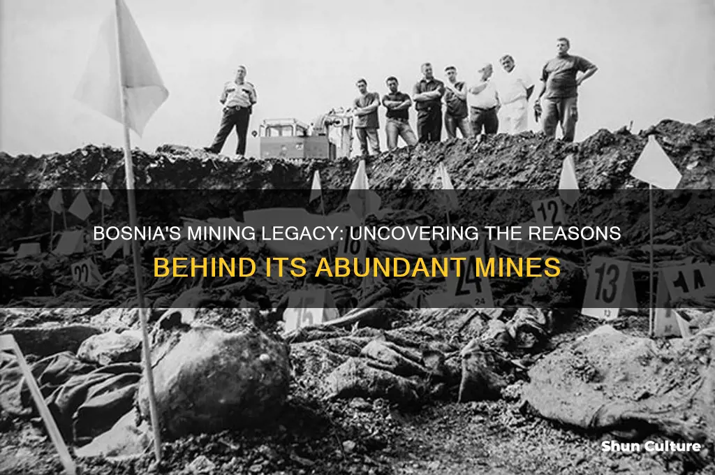 why are there so many mines in bosnia