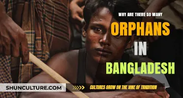 Understanding the Orphan Crisis in Bangladesh: Causes and Solutions