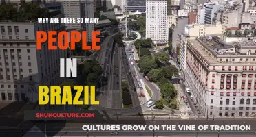 Brazil's Population Boom: Historical, Cultural, and Economic Factors Explained