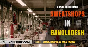 Sweatshops in Bangladesh: Unraveling the Complex Economic and Social Factors