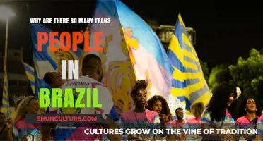 Brazil's Trans Community: Exploring the Factors Behind Its Growth