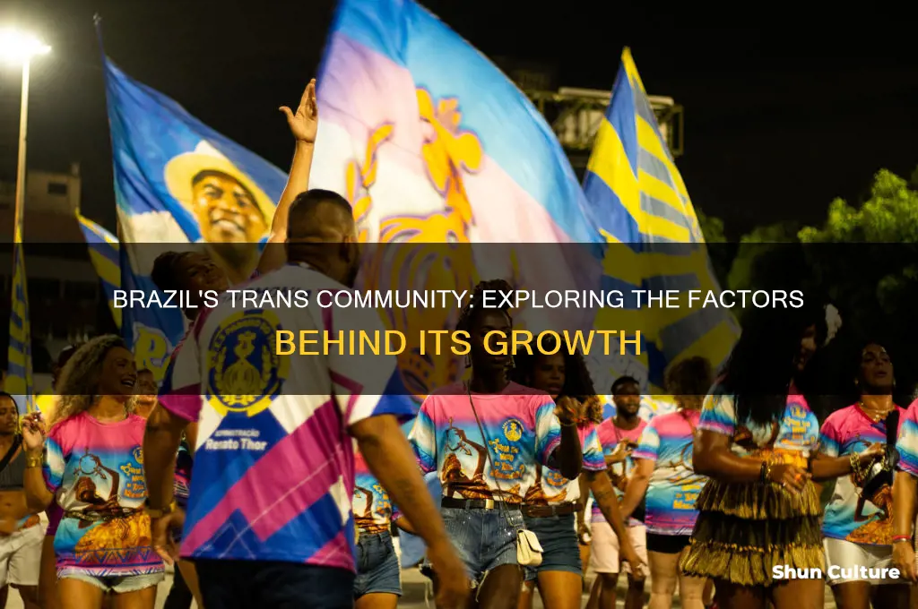 why are there so many trans people in brazil