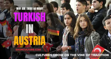 The Turks in Austria: A Historical Overview