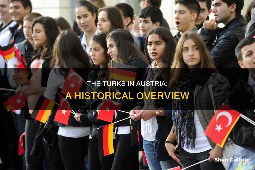 why are there so many turkish in austria