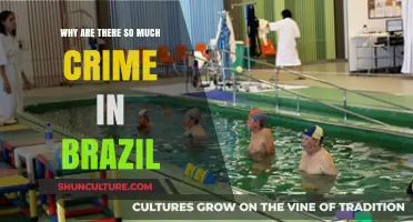 Understanding Brazil's Crime Surge: Root Causes and Societal Impacts