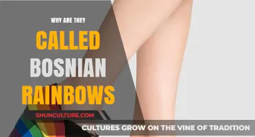Unveiling the Mystique: The Origin of Bosnian Rainbows Explained