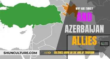 Turkey-Azerbaijan Alliance: Historical Ties, Strategic Benefits