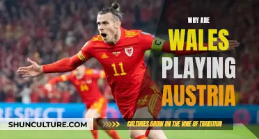 Wales vs Austria: A Football Rivalry Explained