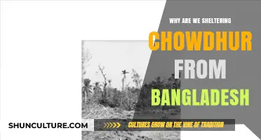 Sheltering Chowdhury: Unraveling Bangladesh's Controversial Protection of a Fugitive
