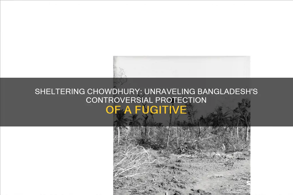 why are we sheltering chowdhury from bangladesh