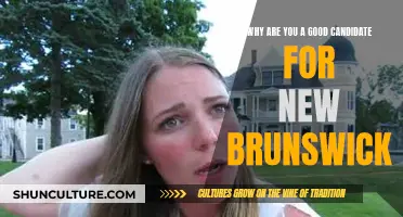The Perfect Fit: New Brunswick and I