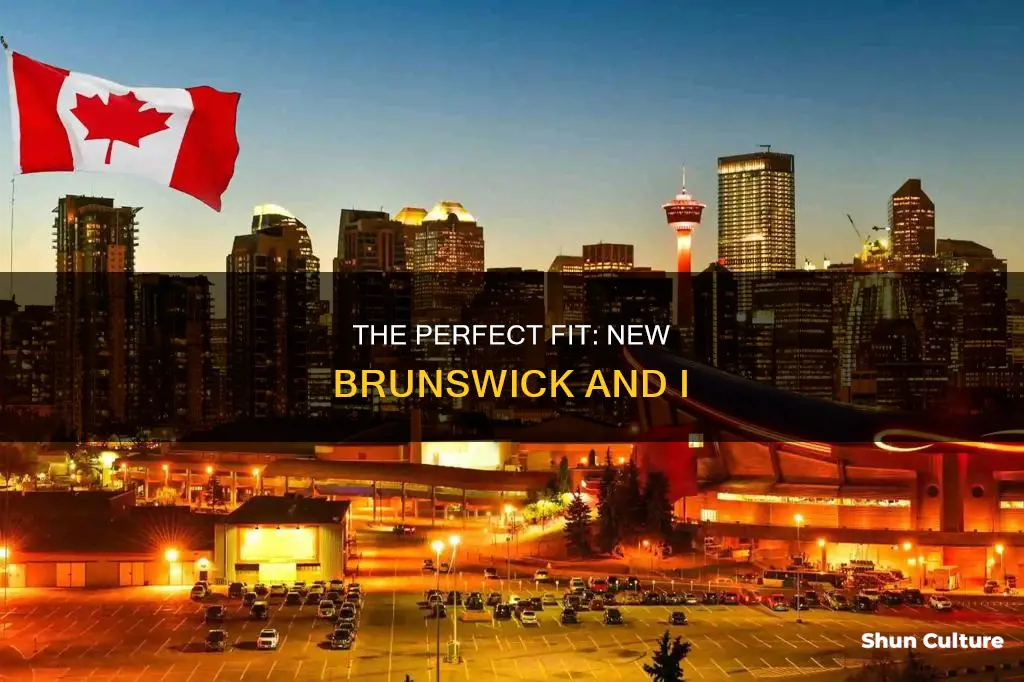 why are you a good candidate for new brunswick