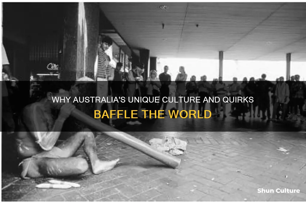 why are you like this australia