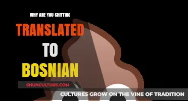 Zašto 'Why Are You Shitting' u Bosanskom: Jezička Analiza