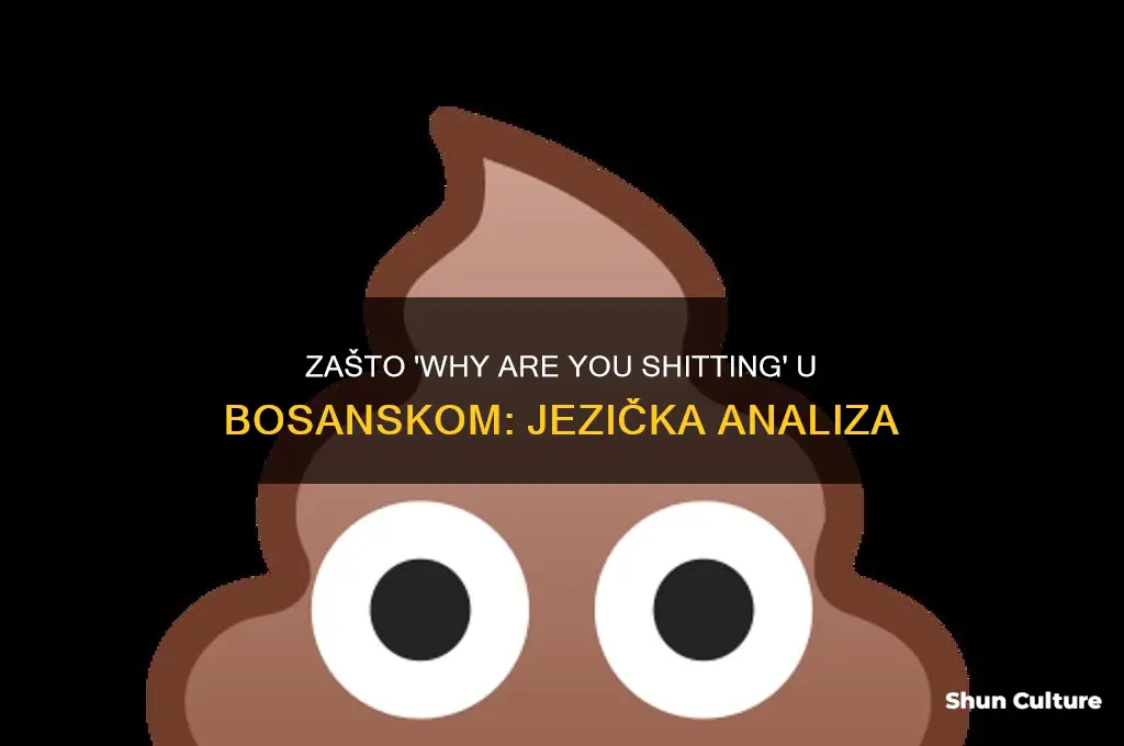 why are you shitting translated to bosnian