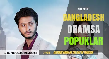 Why Bangladesh Dramas Struggle to Gain Global Popularity
