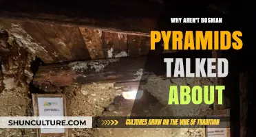 The Bosnian Pyramids Mystery: Why Are They Overlooked?