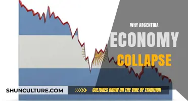 Economic Turmoil in Argentina: Unraveling the Causes of Collapse